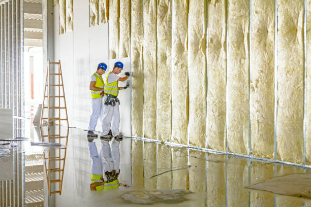 Best Spray Foam Insulation in Bowling Green, MO